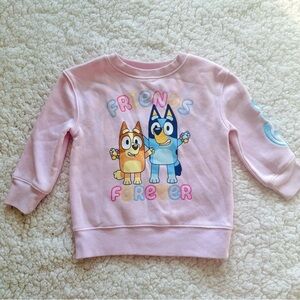 Bluey Girl’s Size 2T Pink Embroidered Friends Forever Sweatshirt Long Sleeve